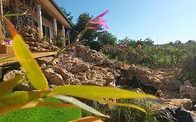 Casita Da Floresta